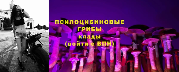 соль ск Алексин